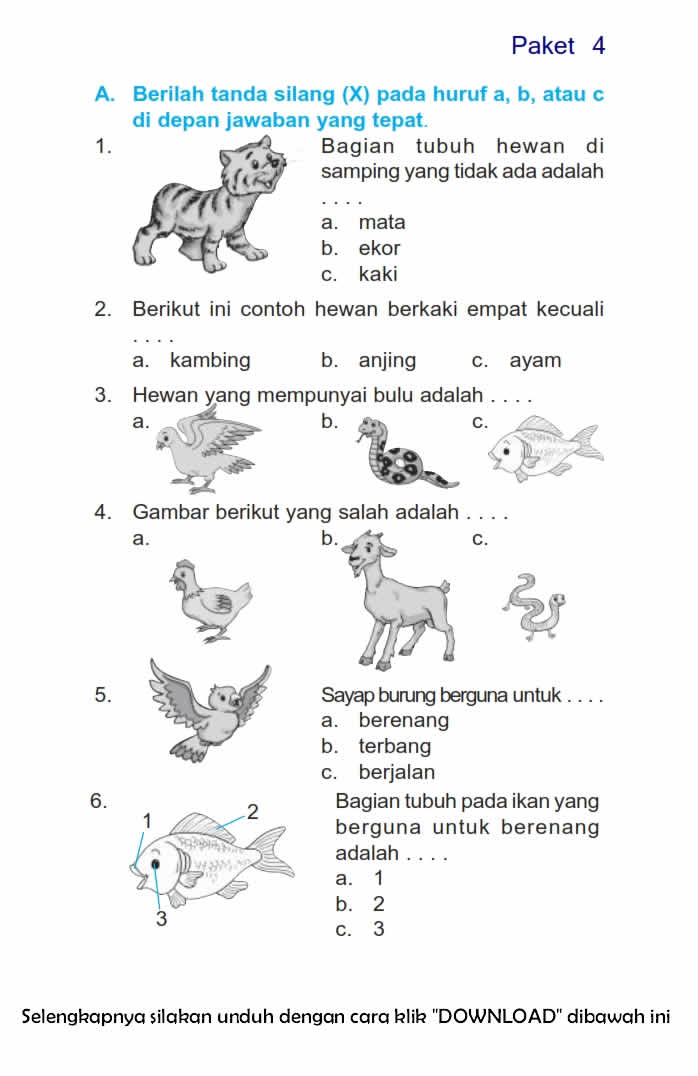 5 Contoh Soal Menjodohkan Bahasa Indonesia untuk Kelas 3 SD yang Wajib Dikuasai Siswa